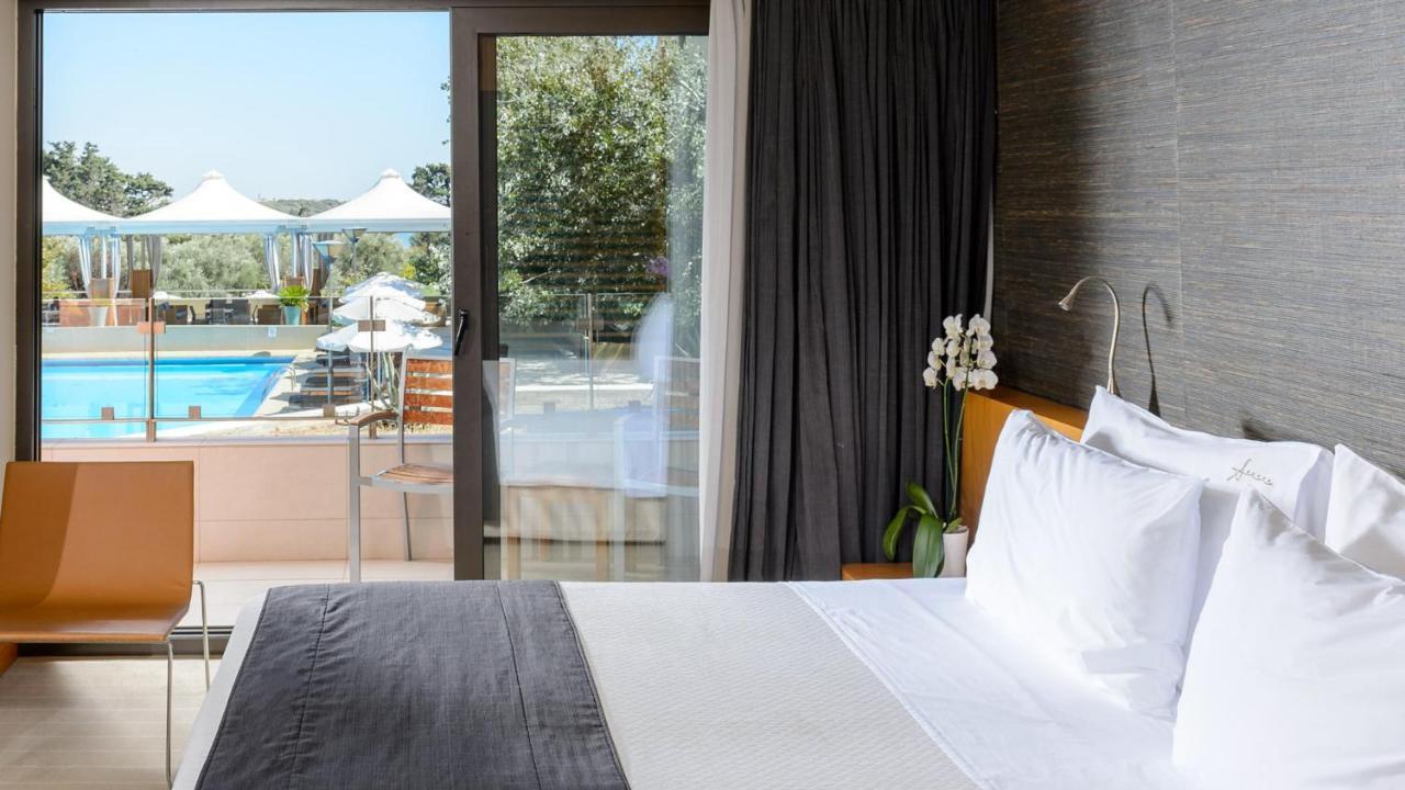 亚历山大海滩温泉酒店 亚历山德鲁波利斯 外观 照片 A room at the hotel