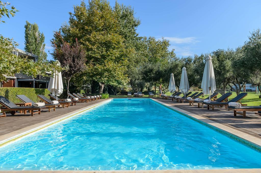 亚历山大海滩温泉酒店 亚历山德鲁波利斯 外观 照片 The pool at the hotel
