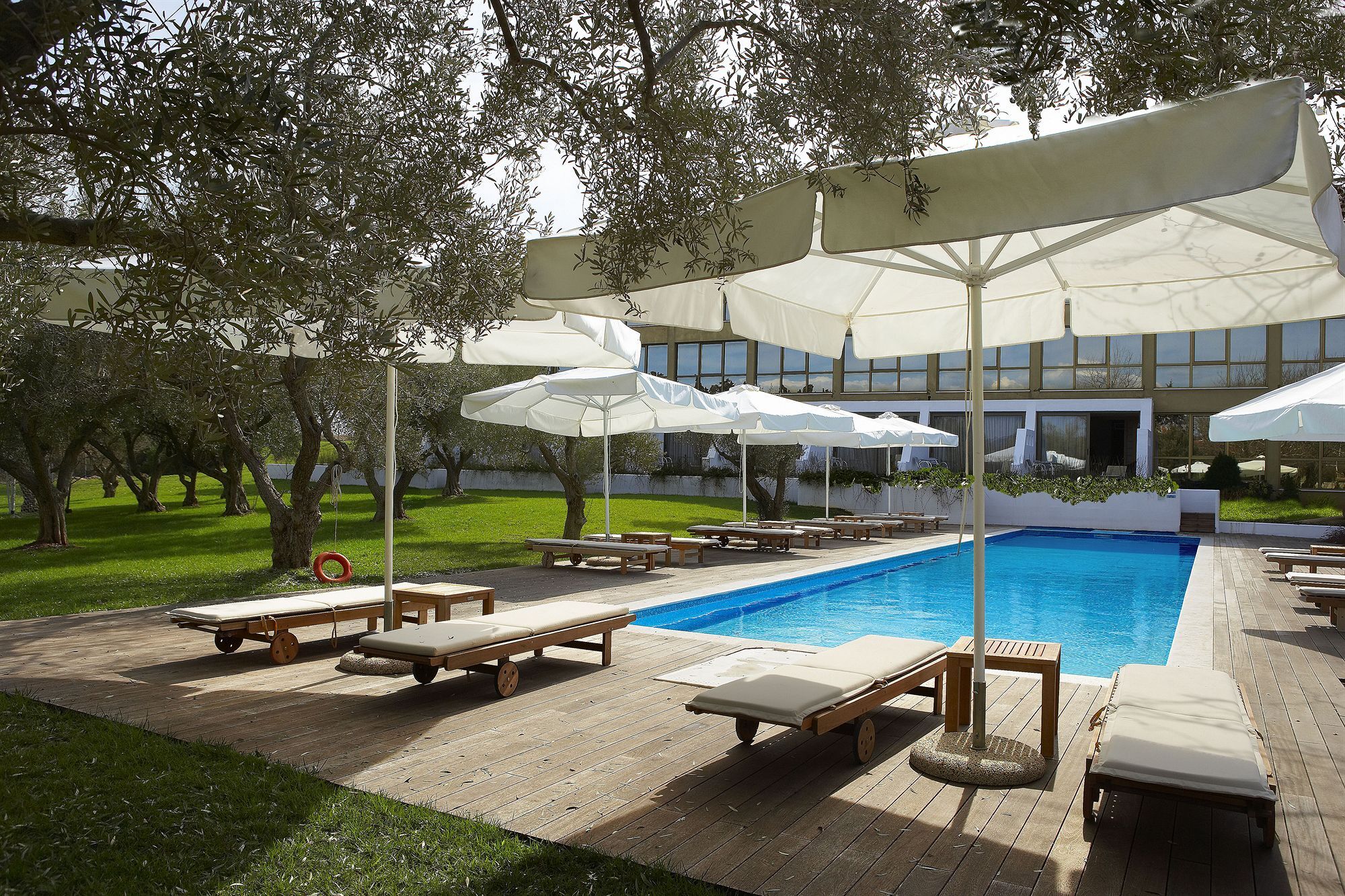 亚历山大海滩温泉酒店 亚历山德鲁波利斯 外观 照片 The pool at the hotel