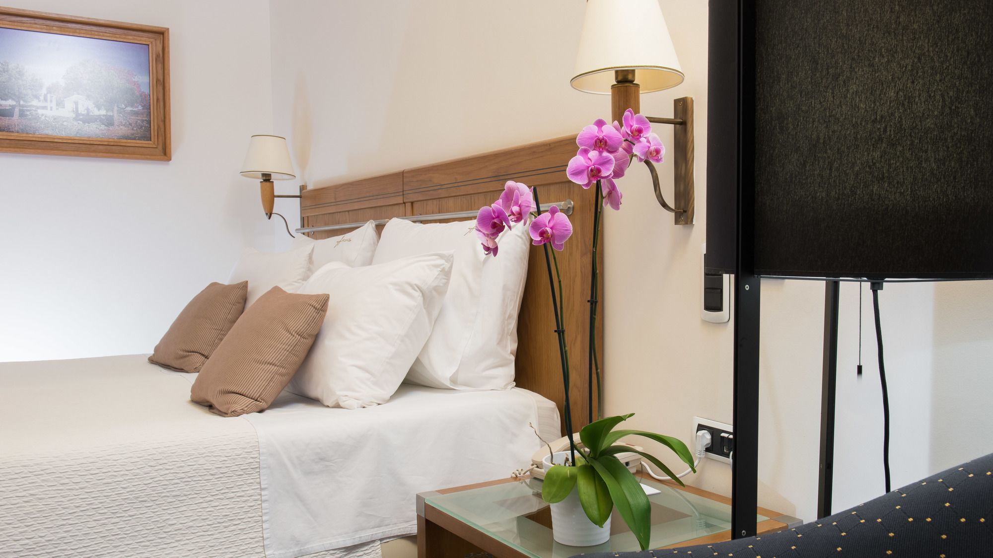 亚历山大海滩温泉酒店 亚历山德鲁波利斯 外观 照片 A bedroom at the hotel